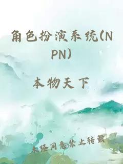 角色扮演系统(NPN)