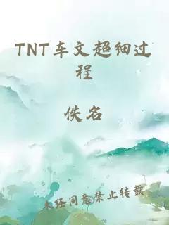 TNT车文超细过程