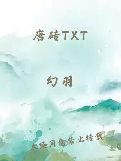 唐砖TXT