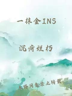 一抹金INS