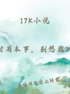 17K小说