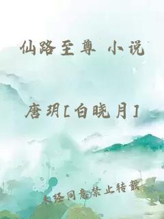 仙路至尊 小说