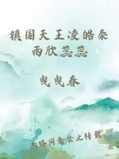 镇国天王凌皓秦雨欣蕊蕊