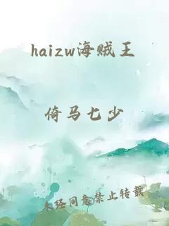 haizw海贼王