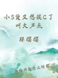 小S货又想挨C了叫大声点