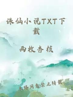 诛仙小说TXT下载