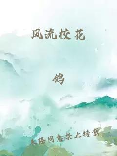 风流校花