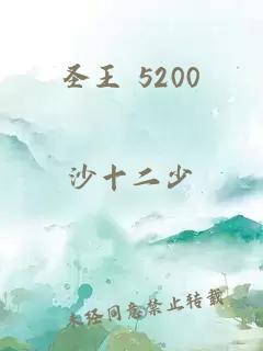 圣王 5200