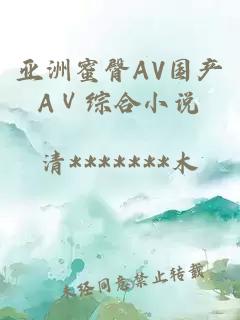 亚洲蜜臀AV国产AⅤ综合小说