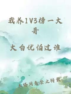 我养1V3榜一大哥