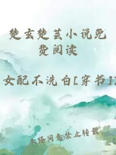 楚玄楚芸小说免费阅读