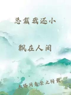 总裁我还小