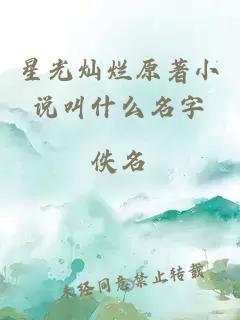 星光灿烂原著小说叫什么名字