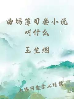 曲嫣薄司晏小说叫什么