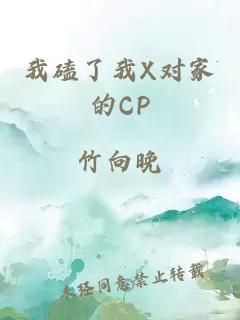 我磕了我X对家的CP