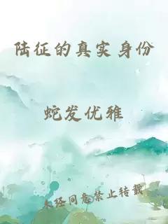 陆征的真实身份