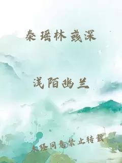 秦瑶林彧深