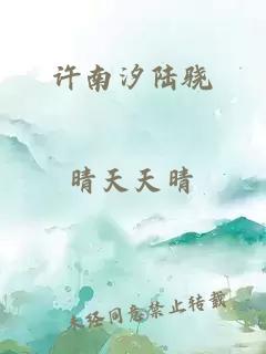 许南汐陆骁