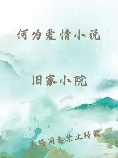 何为爱情小说