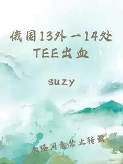 俄国13外一14处TEE出血