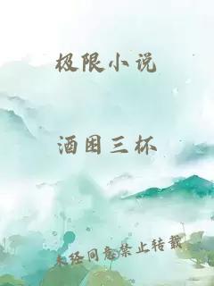 极限小说