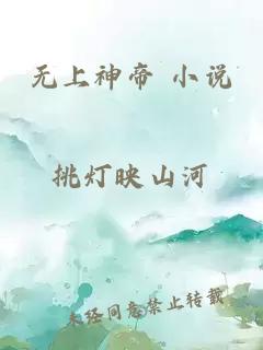 无上神帝 小说