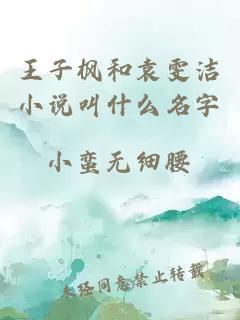 王子枫和袁雯洁小说叫什么名字