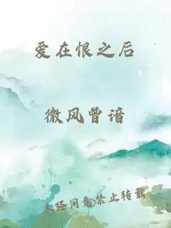 爱在恨之后