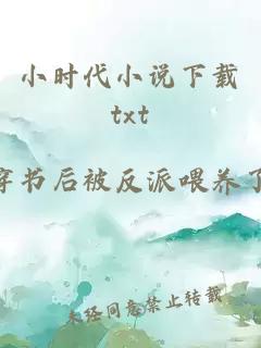 小时代小说下载txt