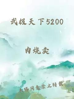 武极天下5200