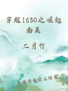 穿越1630之崛起南美