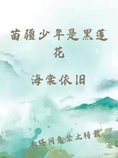 苗疆少年是黑莲花