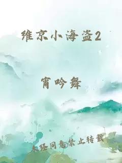 维京小海盗2