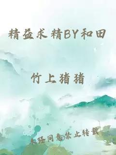 精益求精BY和田