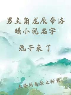 男主角龙辰帝洛曦小说名字