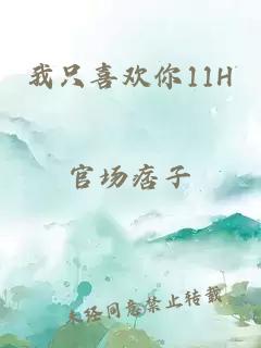 我只喜欢你11H