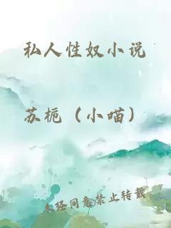 私人性奴小说