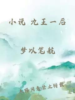 小说 九王一后