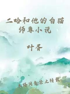 二哈和他的白猫师尊小说