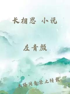 长相思 小说