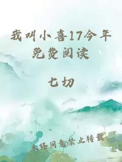 我叫小喜17今年免费阅读