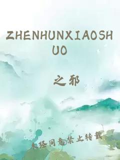 ZHENHUNXIAOSHUO