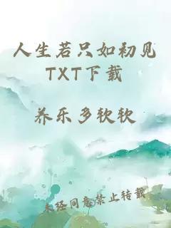 人生若只如初见TXT下载