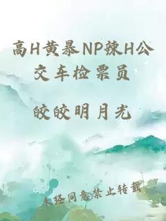 高H黄暴NP辣H公交车检票员