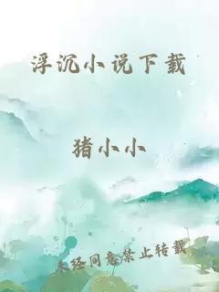 浮沉小说下载