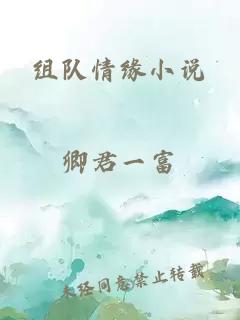 组队情缘小说