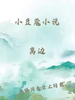 小豆蔻小说