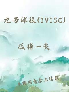 九号球服(1V1SC)