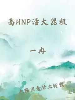 高HNP活大器粗