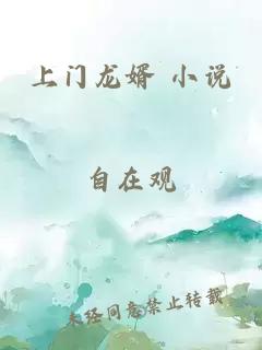 上门龙婿 小说